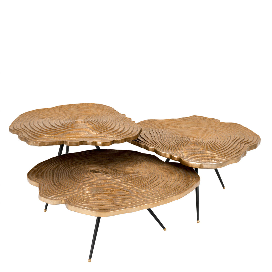 Coffee Table Quercus set of 3 Furniture Eichholtz