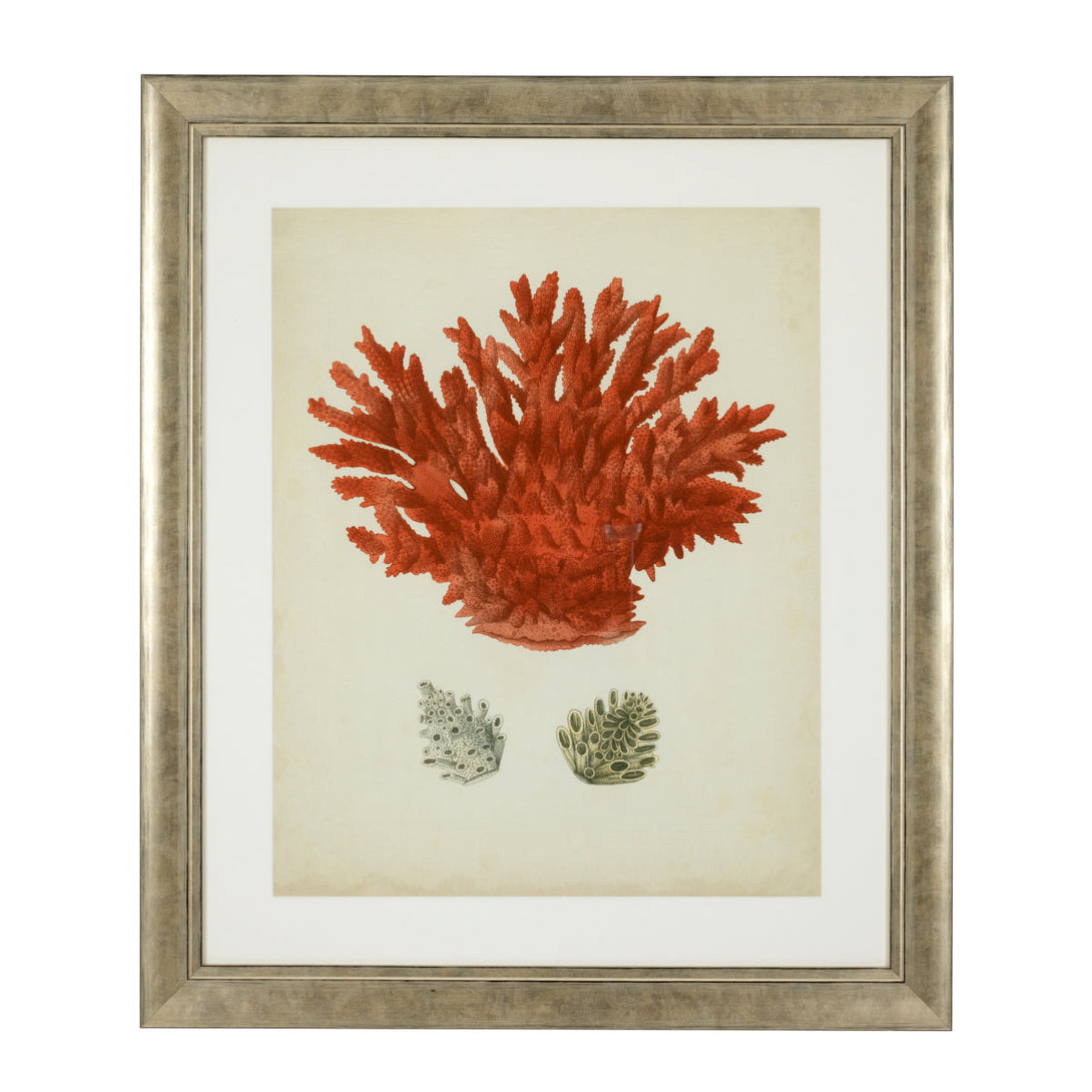 Prints Antique red corals set of 6 Accessories Eichholtz