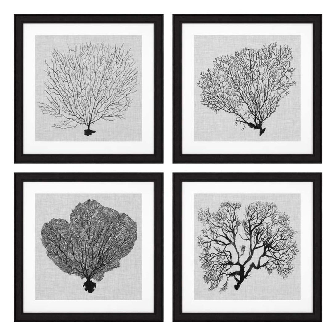 Prints Shadow Sea Fans set of 4 Accessories Eichholtz