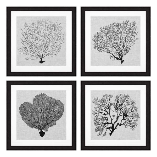 Prints Shadow Sea Fans set of 4 Accessories Eichholtz