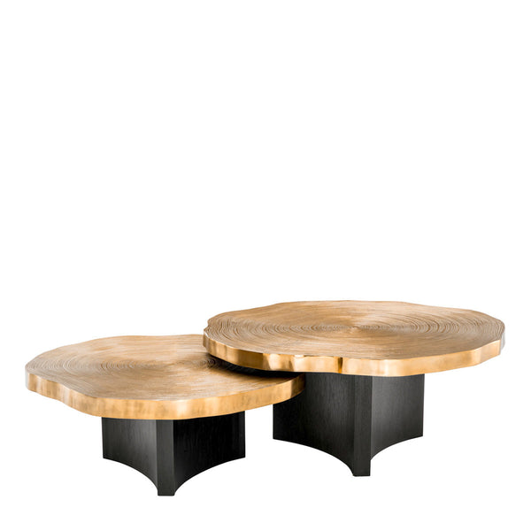 Coffee Table Thousand Oaks set of 2 Furniture Eichholtz