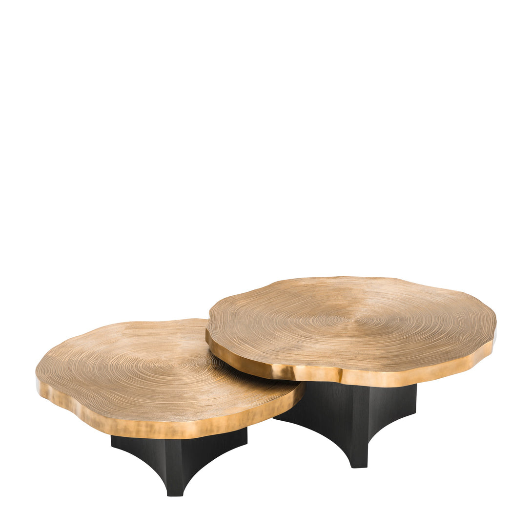 Coffee Table Thousand Oaks set of 2 Furniture Eichholtz