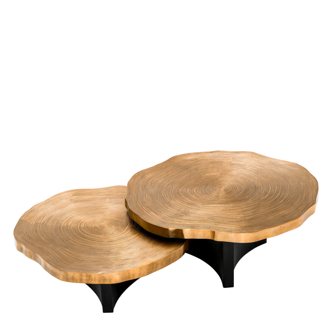 Coffee Table Thousand Oaks set of 2 Furniture Eichholtz