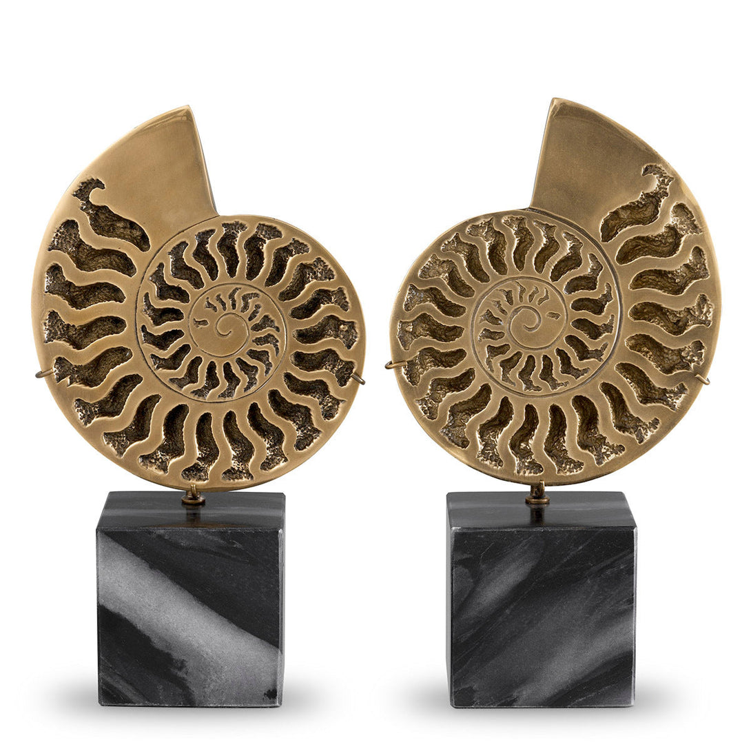 Object Ammonite set of 2 Accessories Eichholtz