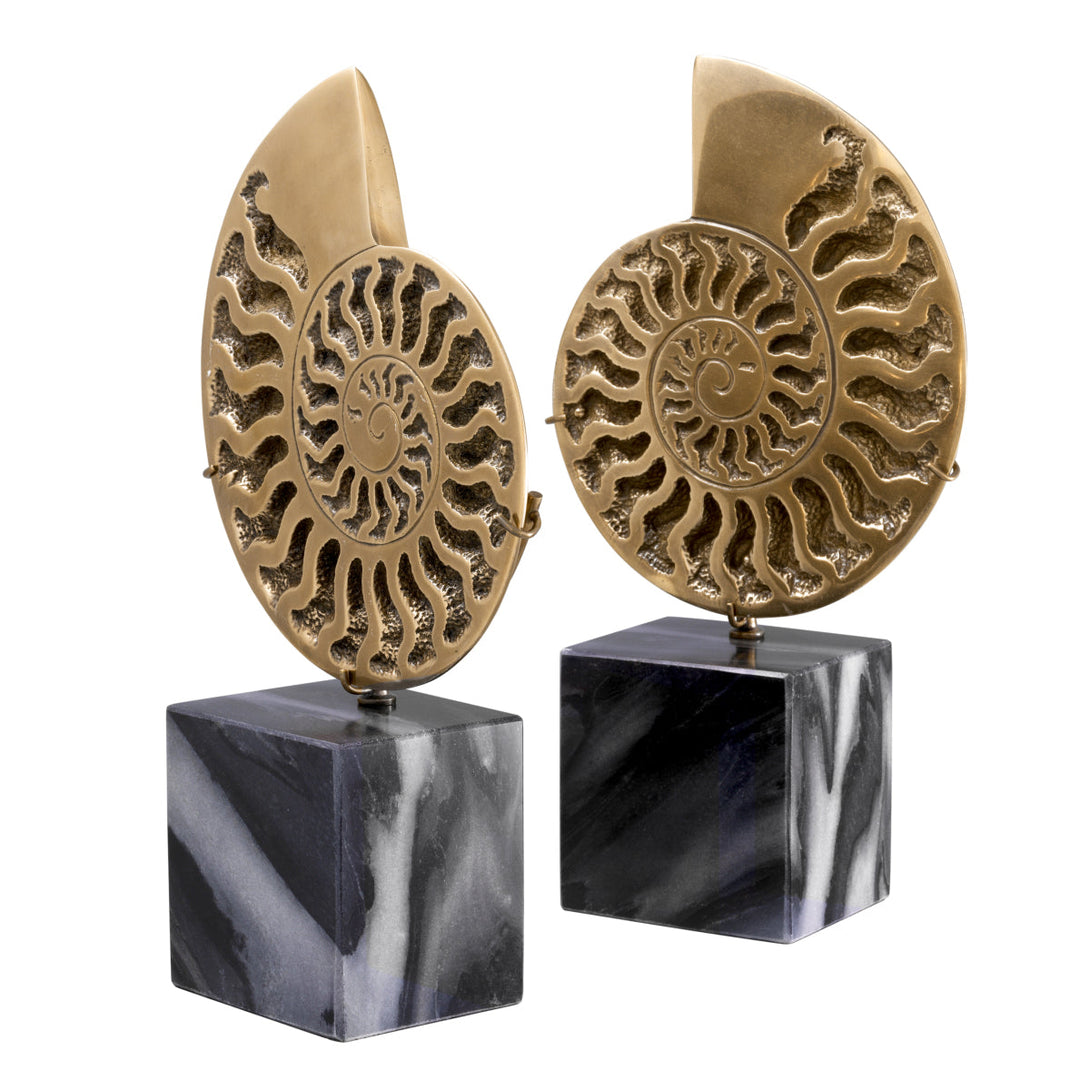 Object Ammonite set of 2 Accessories Eichholtz