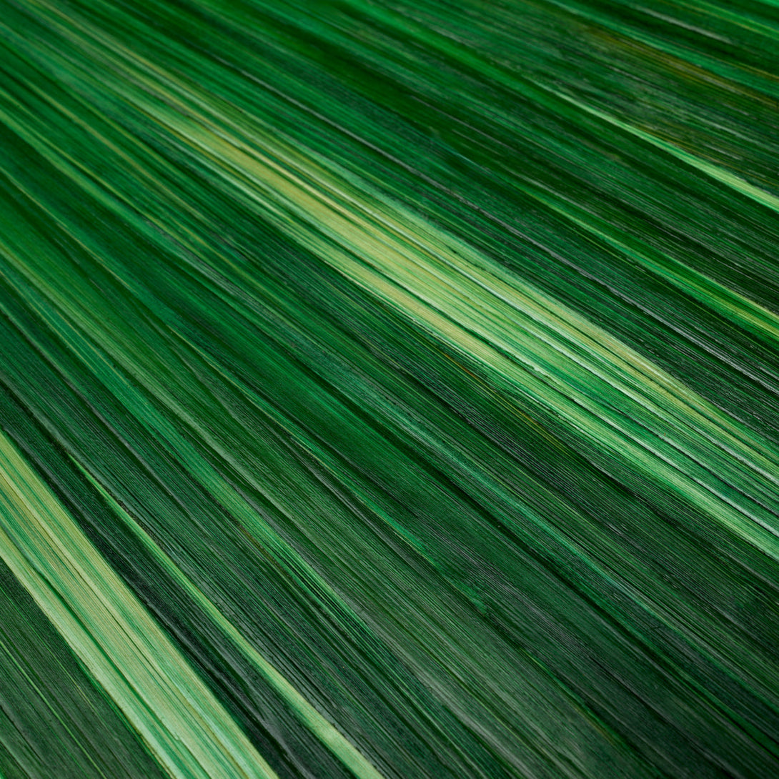 Desk Tray Harvard S Straw Marquetry Green Accessories Eichholtz