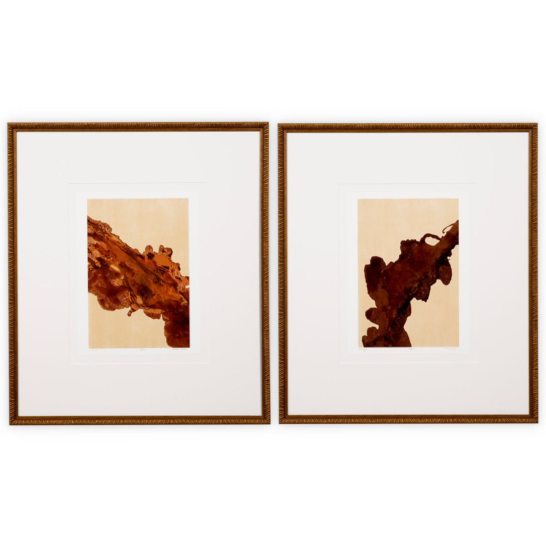 Print Mirage & Rêverie by Bruno Bijaksic set of 2 Accessories Eichholtz