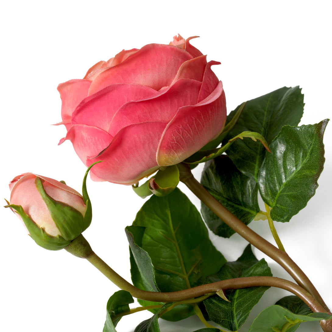 Bouquet Of Roses Real Touch 72 Pcs/3 Varieties Peach Tones Accessories Eichholtz