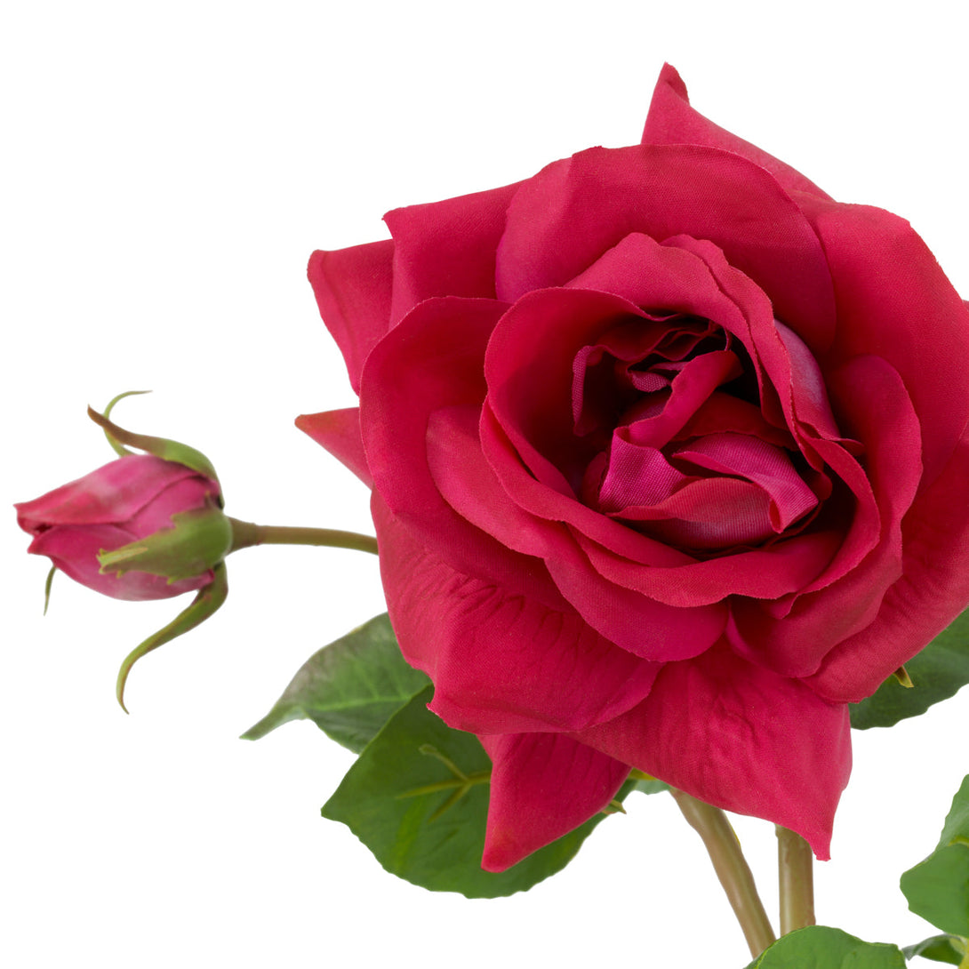 Bouquet Of Roses Real Touch 72 Pcs/3 Varieties Red &Amp; Pink Tones Accessories Eichholtz