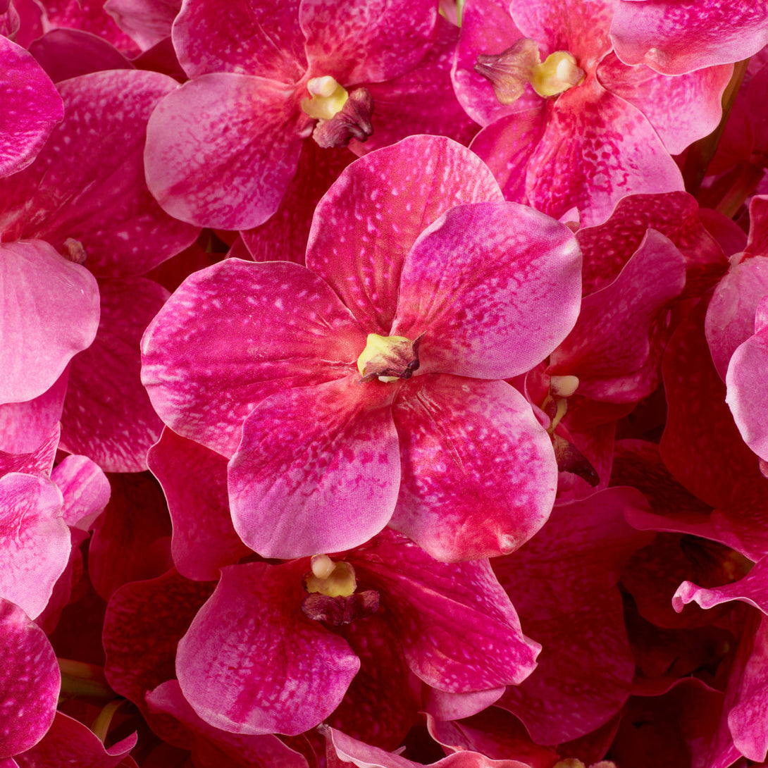 Bouquet Of Vanda Orchids Real Touch 24 Pcs Pink Tones Accessories Eichholtz