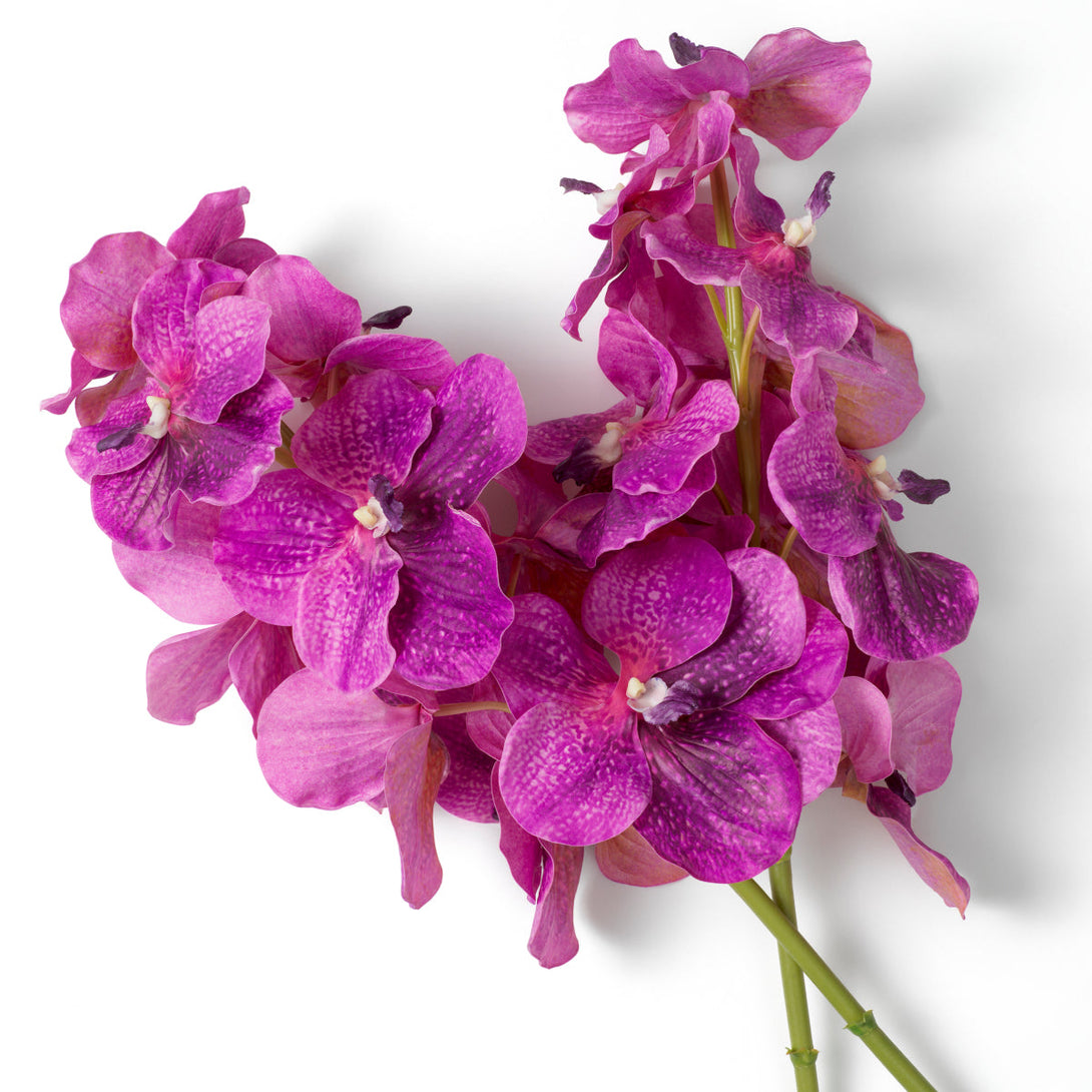 Bouquet Of Vanda Orchids Real Touch 24 Pcs Fuchsia Tones Accessories Eichholtz