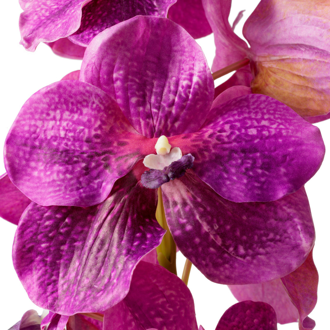 Bouquet Of Vanda Orchids Real Touch 24 Pcs Fuchsia Tones Accessories Eichholtz
