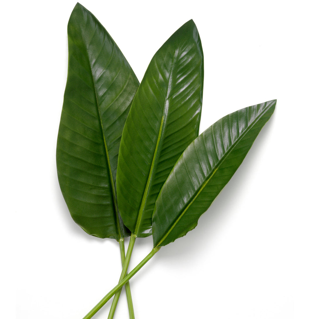 Bundle of Strelitzia leaves 36 pcs Accessories Eichholtz