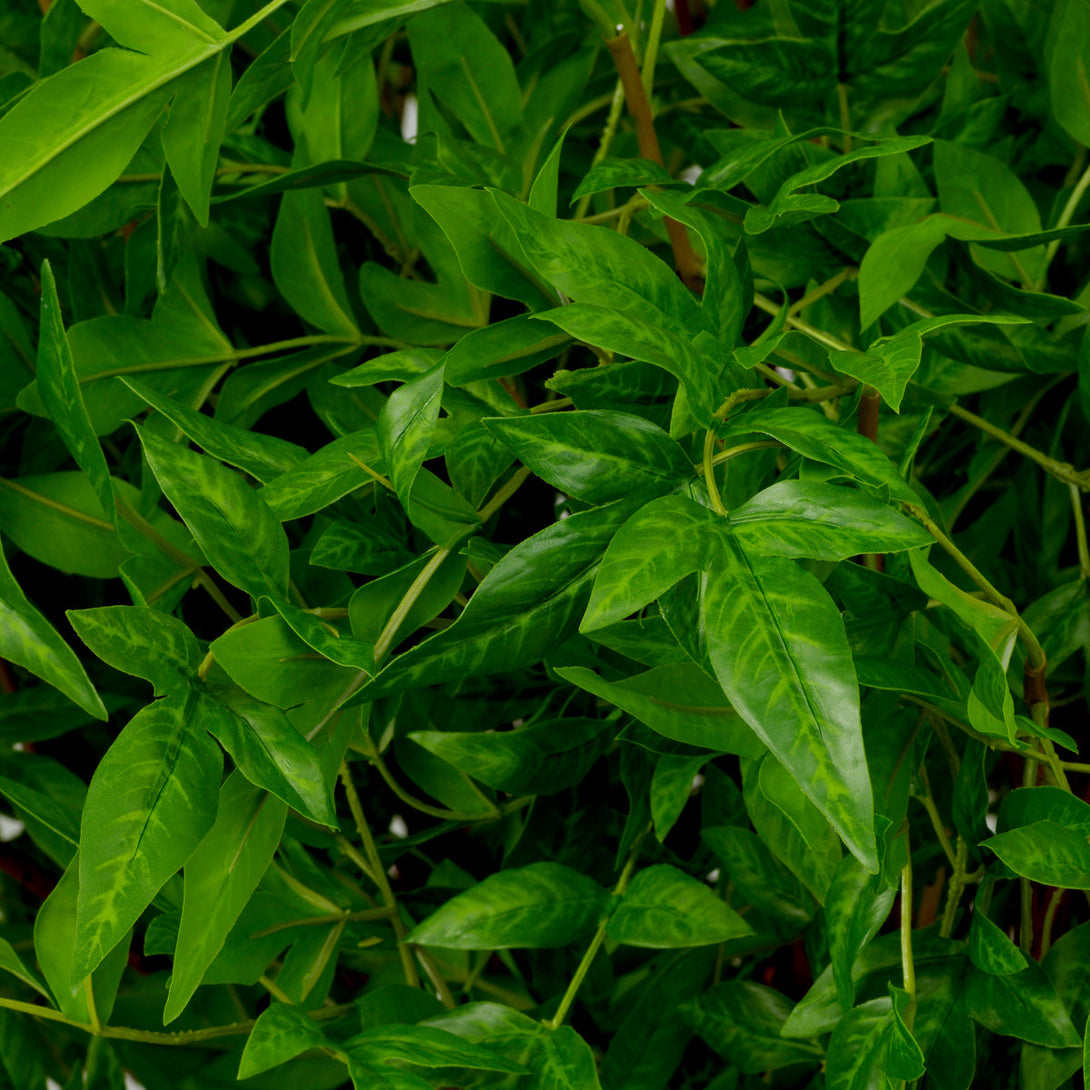 Bundle of Tender leaves 36 pcs Accessories Eichholtz