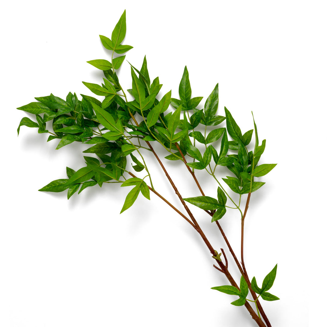 Bundle of Tender leaves 36 pcs Accessories Eichholtz