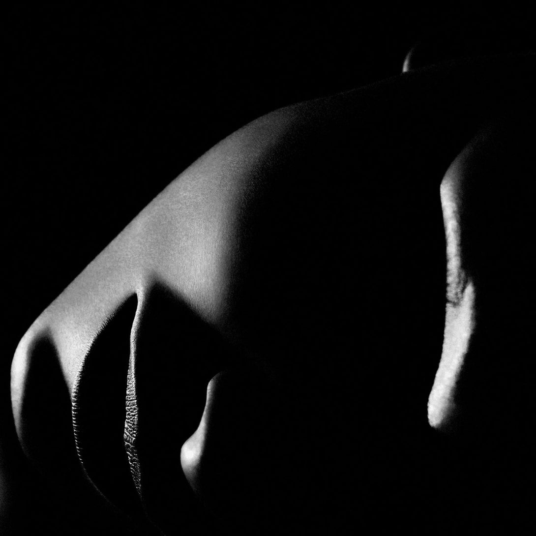 Print Philippe Vogelenzang - La Nuit Accessories Eichholtz