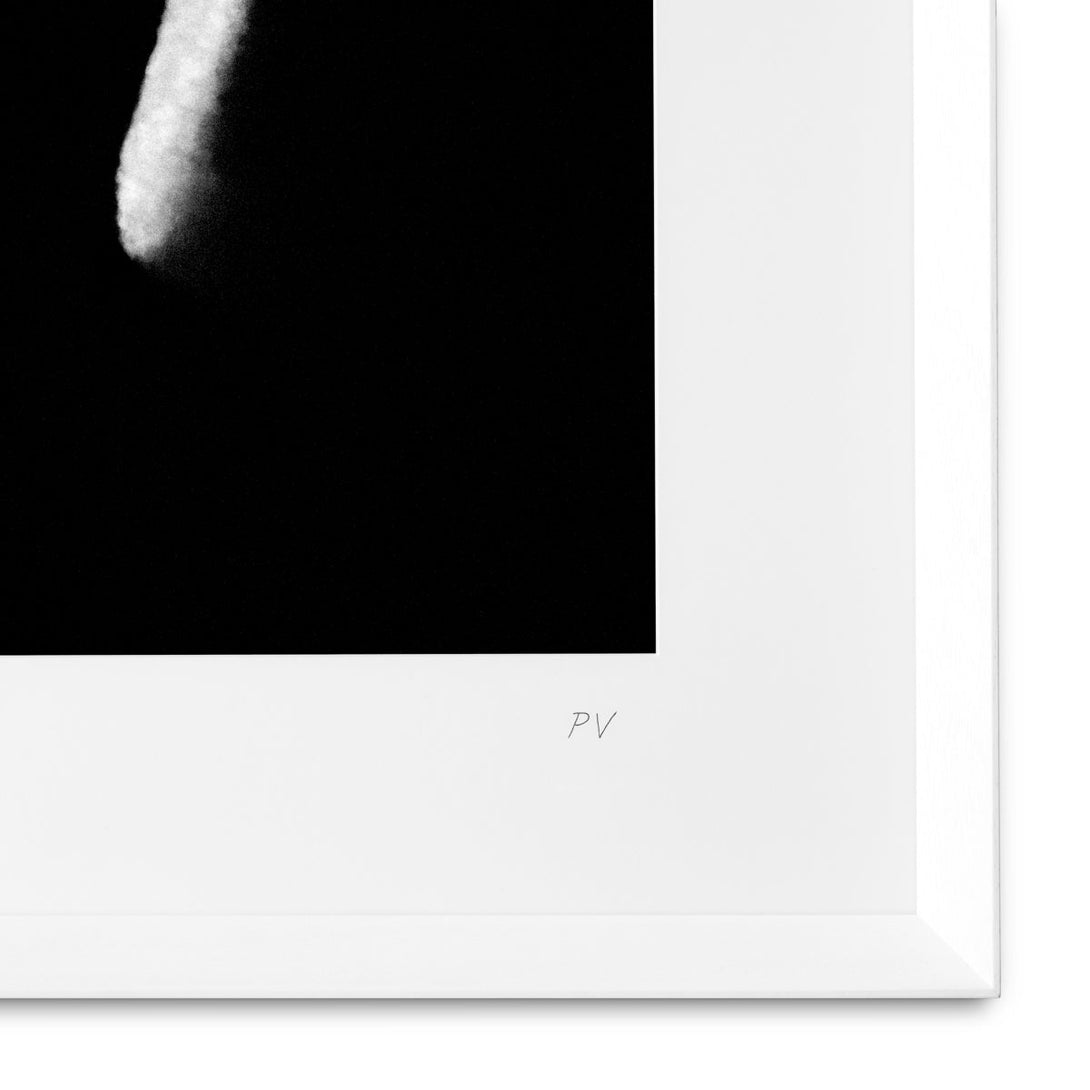 Print Philippe Vogelenzang - La Nuit Accessories Eichholtz