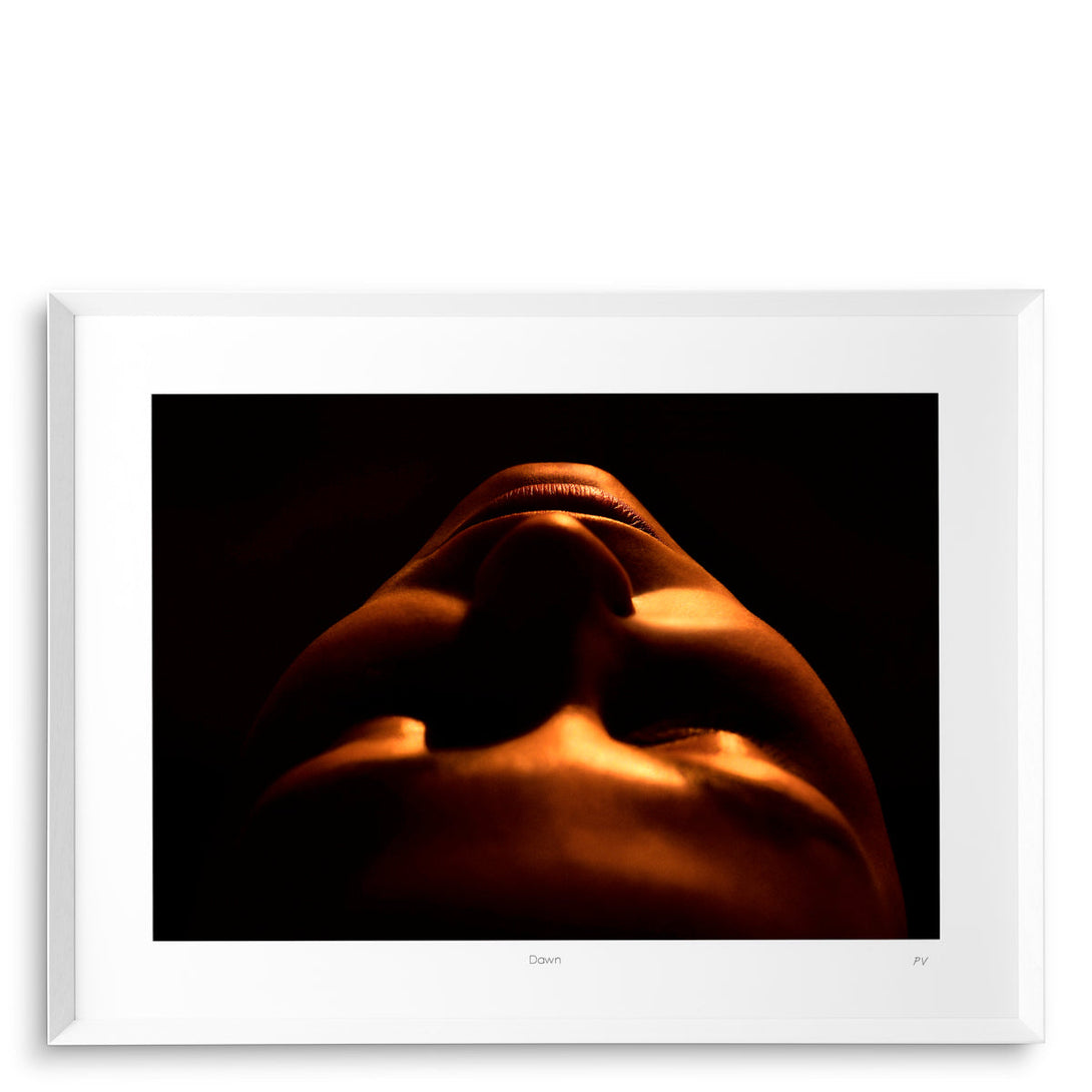 Print Philippe Vogelenzang - Dawn Accessories Eichholtz