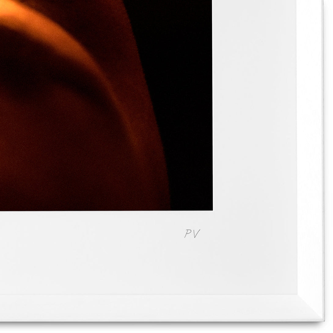 Print Philippe Vogelenzang - Dawn Accessories Eichholtz