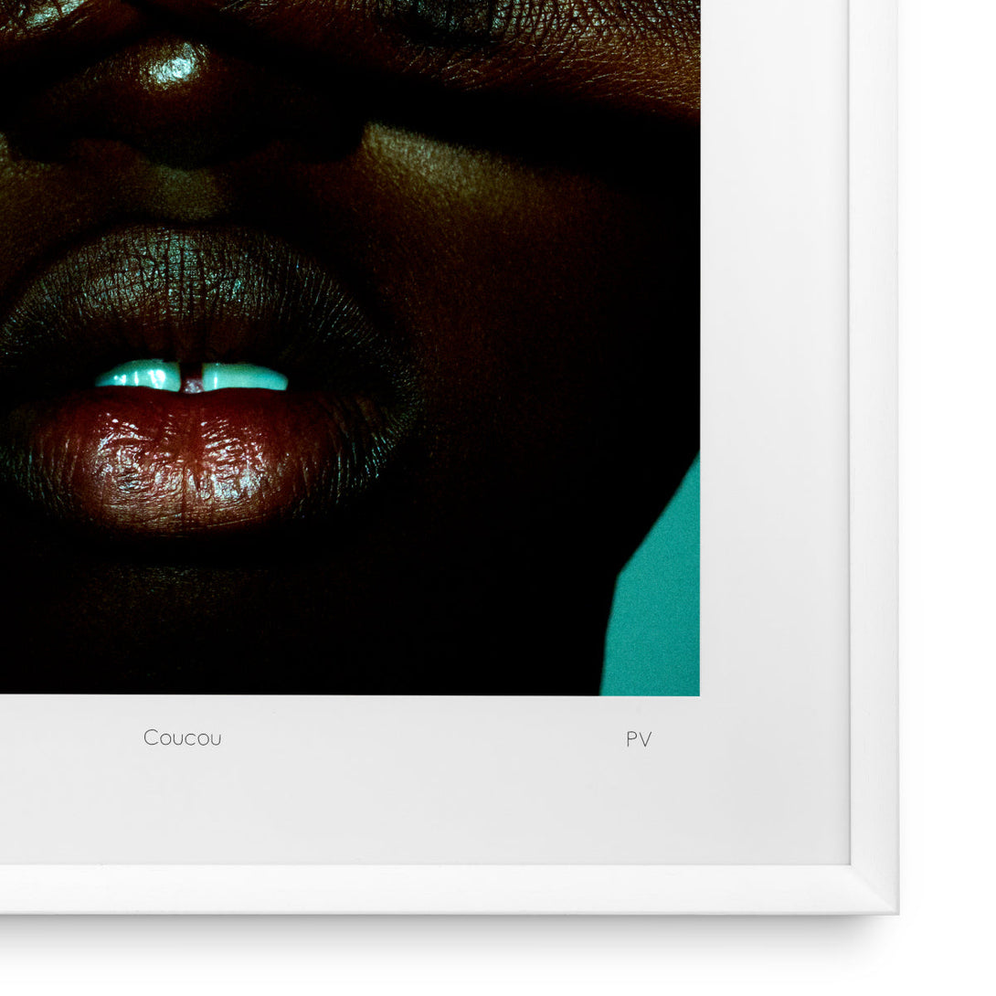 Print Philippe Vogelenzang - Coucou Accessories Eichholtz