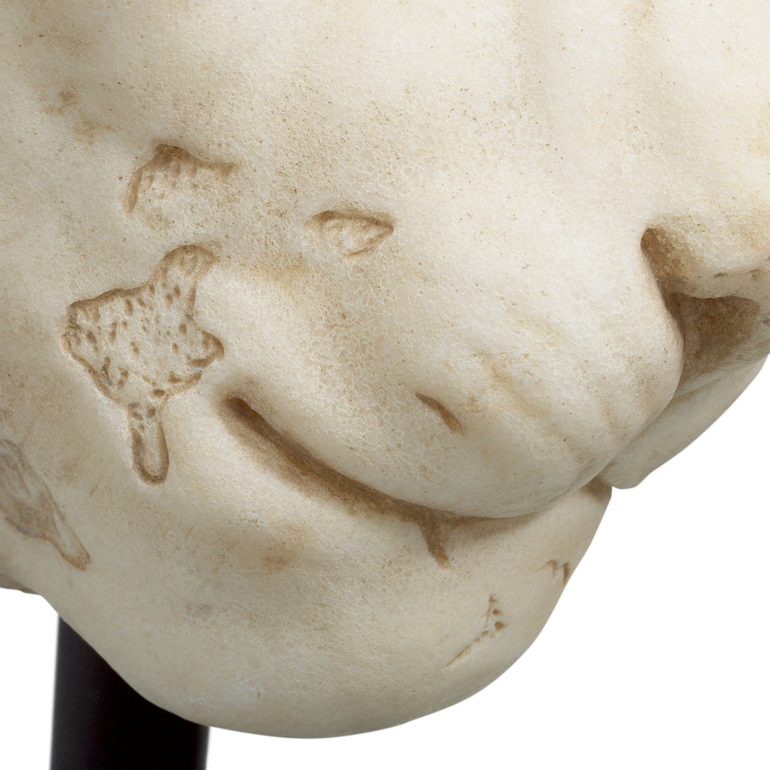 Object Lion Accessories Eichholtz